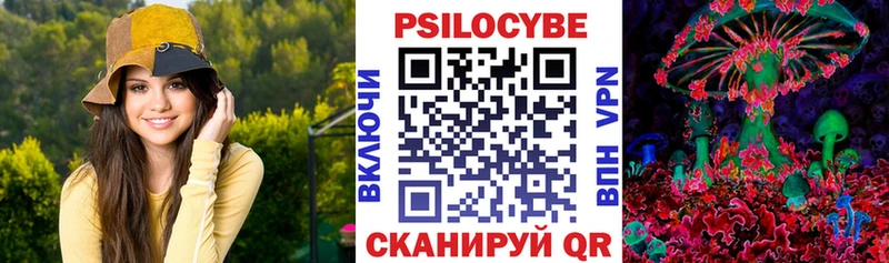 Псилоцибиновые грибы мухоморы  площадка наркотические препараты  Малаховка  hydra как войти 